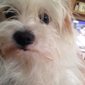 Meet your Posher, Jaelyn