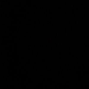 Meet your Posher, Gus