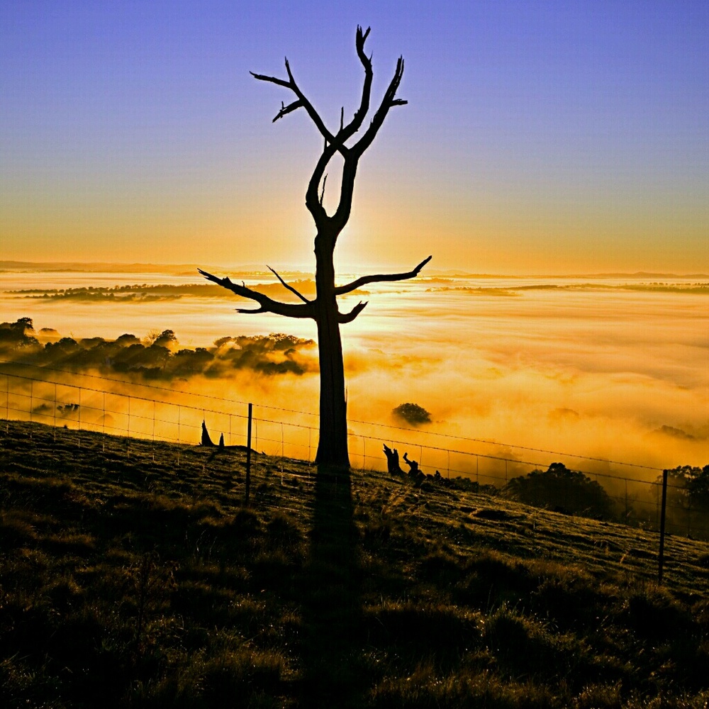 Meet your Posher, Shirley