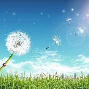 Meet your Posher, Jin