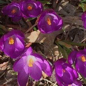 Meet your Posher, Sue