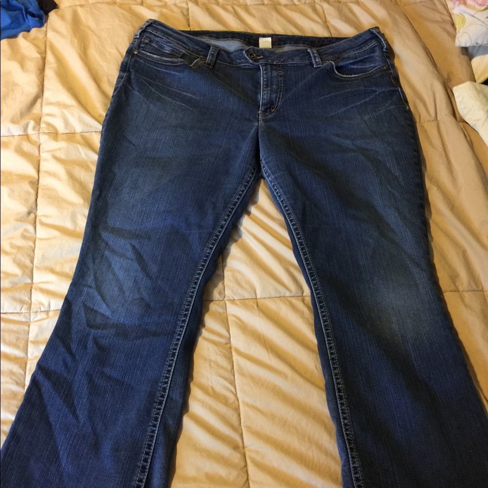 Silver Jeans plus