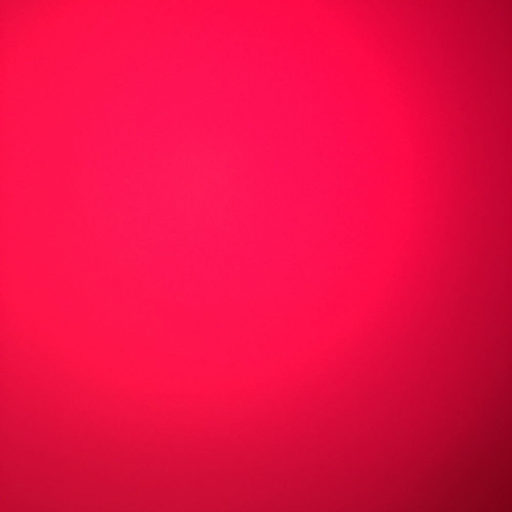 Meet your Posher, Josie