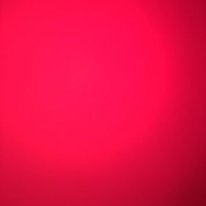 Meet your Posher, Josie