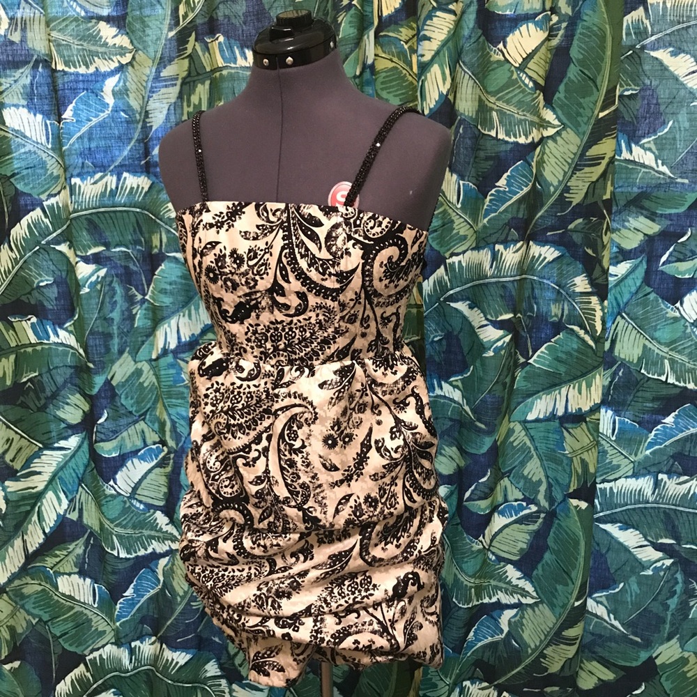 Alice + Olivia cocktail dress.