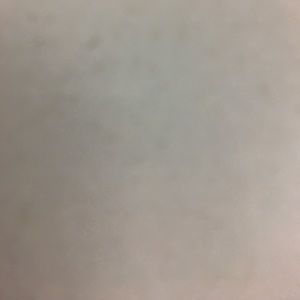 Meet your Posher, Capricia