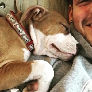 Meet your Posher, Josh