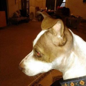 Meet your Posher, Letha