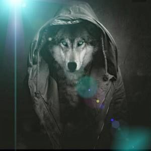 Meet your Posher, Phúc