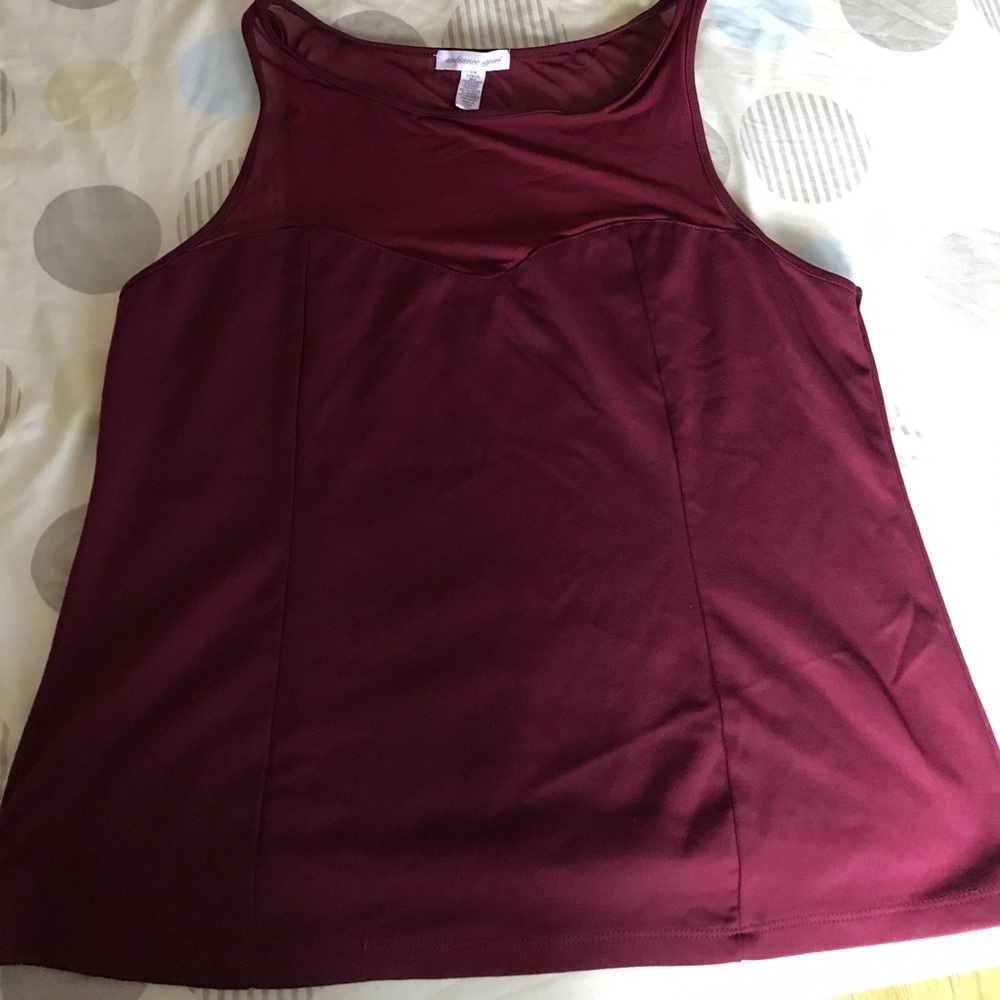 Sheer top Burgendy Blouse