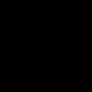 Meet your Posher, Deasjia