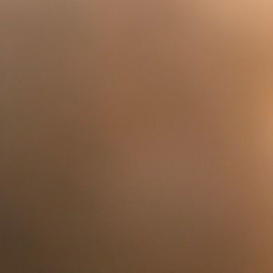 Meet your Posher, Jake