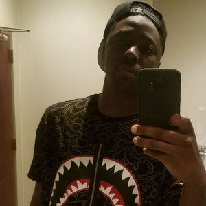 Meet your Posher, Boris