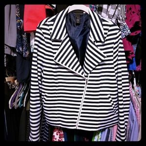 Lane Bryant Moto Jacket