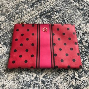 C Wonder Zip Top Pouch