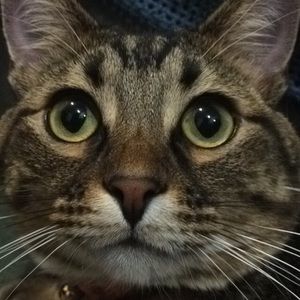 Meet your Posher, Katelyn