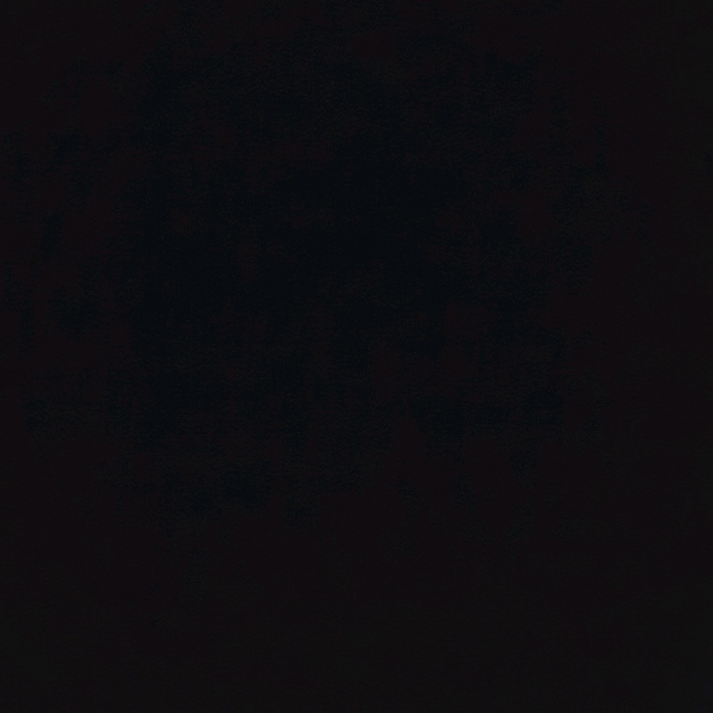 Meet your Posher, Mariah