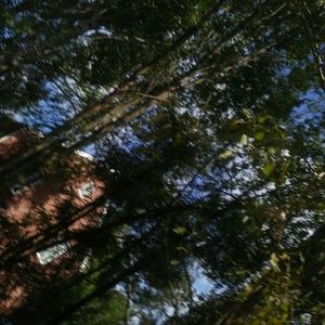 Meet your Posher, Shawnda