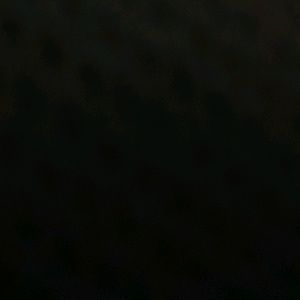 Meet your Posher, Caleb