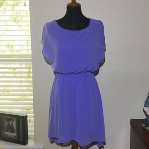 Francesca's Collection Large Periwinkle Dress