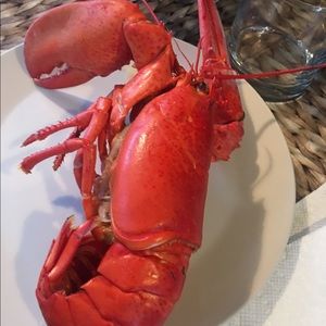 Meet your Posher, Yevgeny