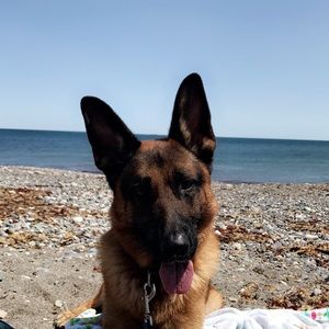 Meet your Posher, Courtney