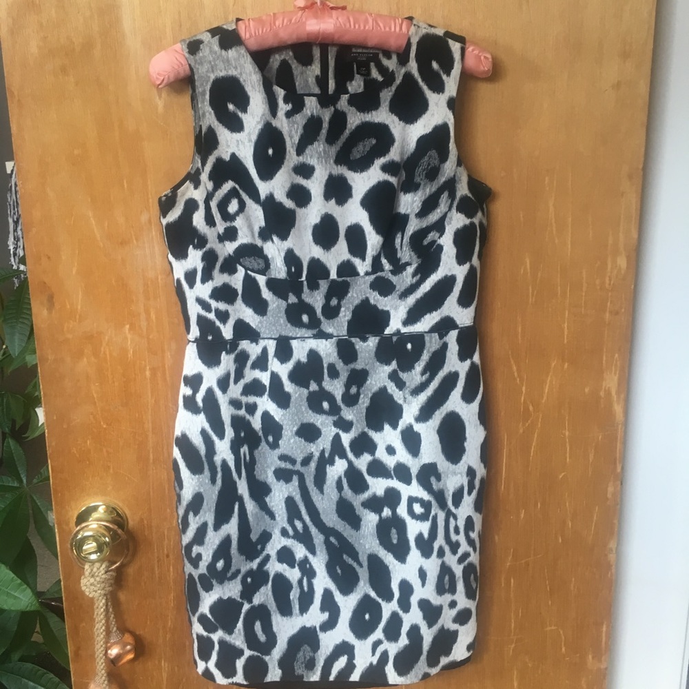 Ann Taylor dress