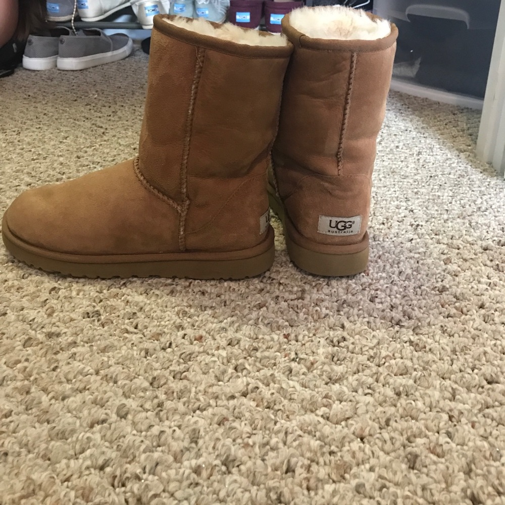 Ugg Australia Classic Tan Short Boots