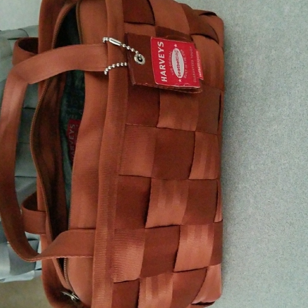 Harvey's original seatbelt bag