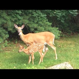 Meet your Posher, Lisa