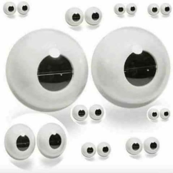 Meet your Posher, Shonna - Picture 1 of 1