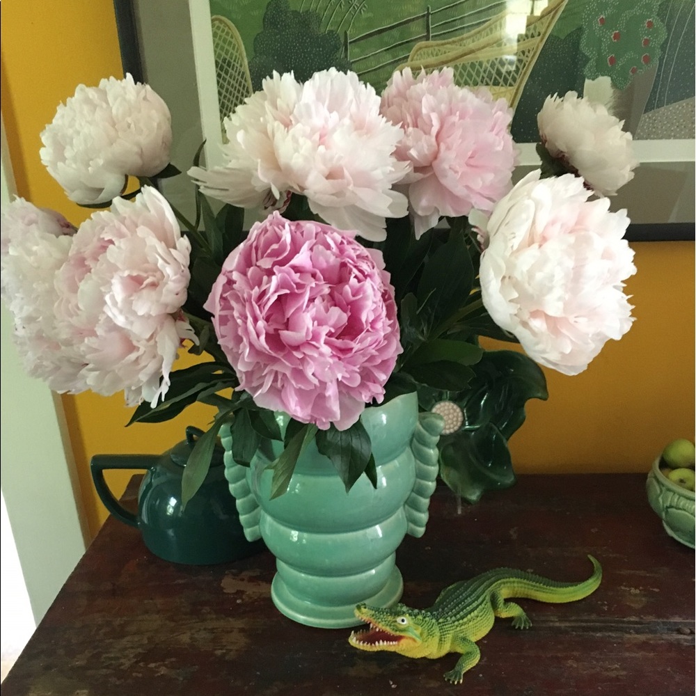 Meet your Posher, Marg