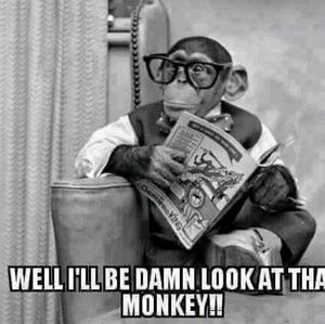 Meet your Posher, Demetrius