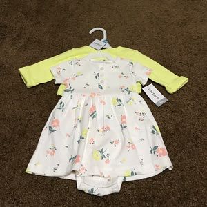 NWT Carter's girls 2 piece dress set