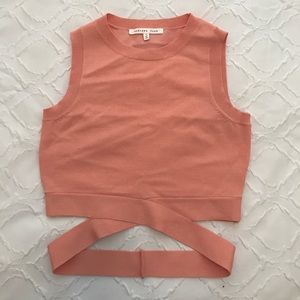 Endless rose crop top