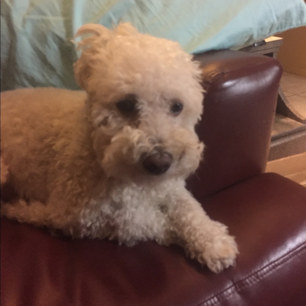 Meet your Posher, Erik