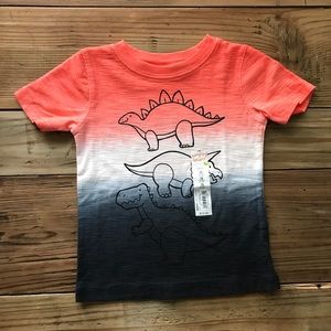 NEW Colorful Ombre Dinosaur Shirt