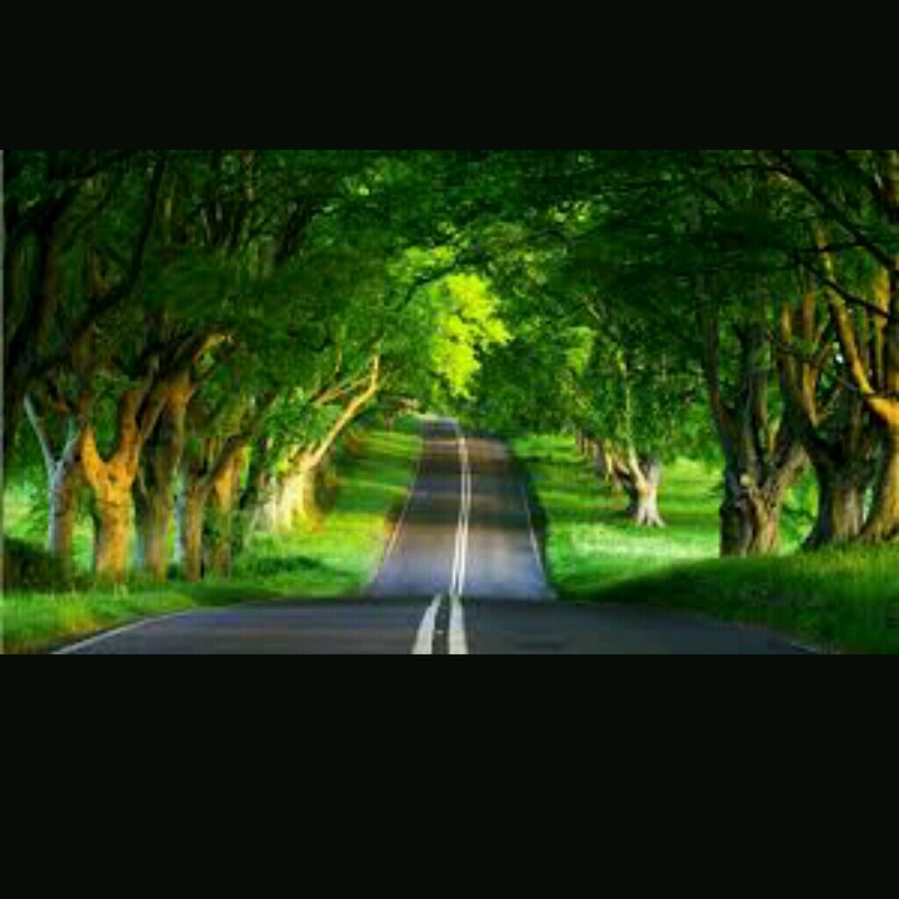 Meet your Posher, Esther