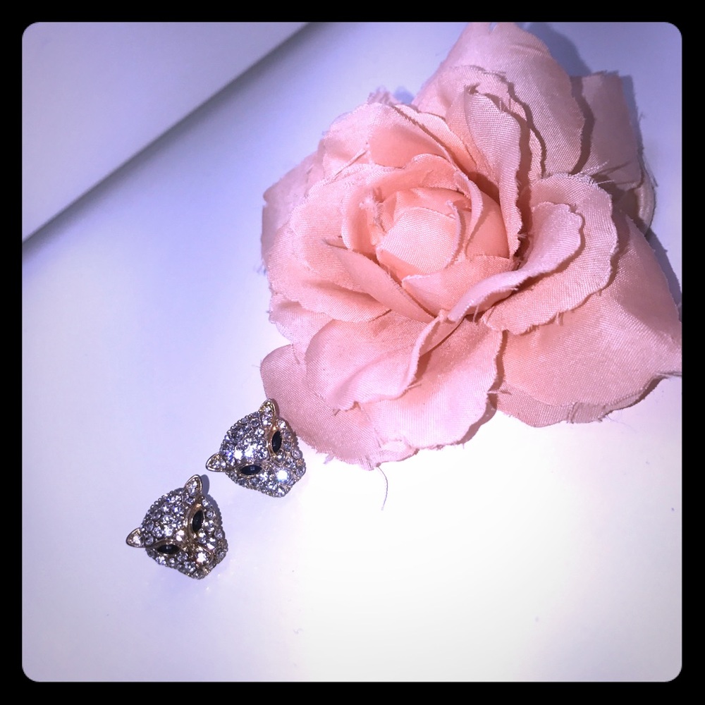 Cute accent earrings