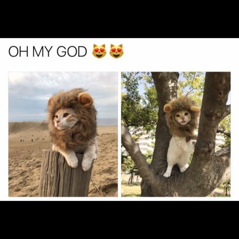 Meet your Posher, Judith