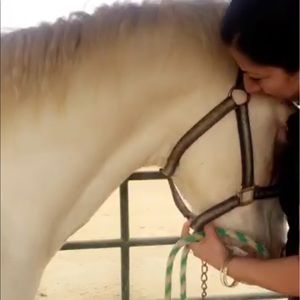 Meet your Posher, Alma