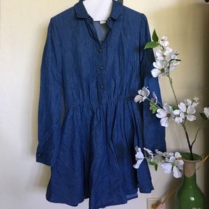 Francesca's denim dress