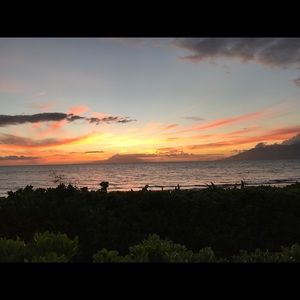 Meet your Posher, Darcy