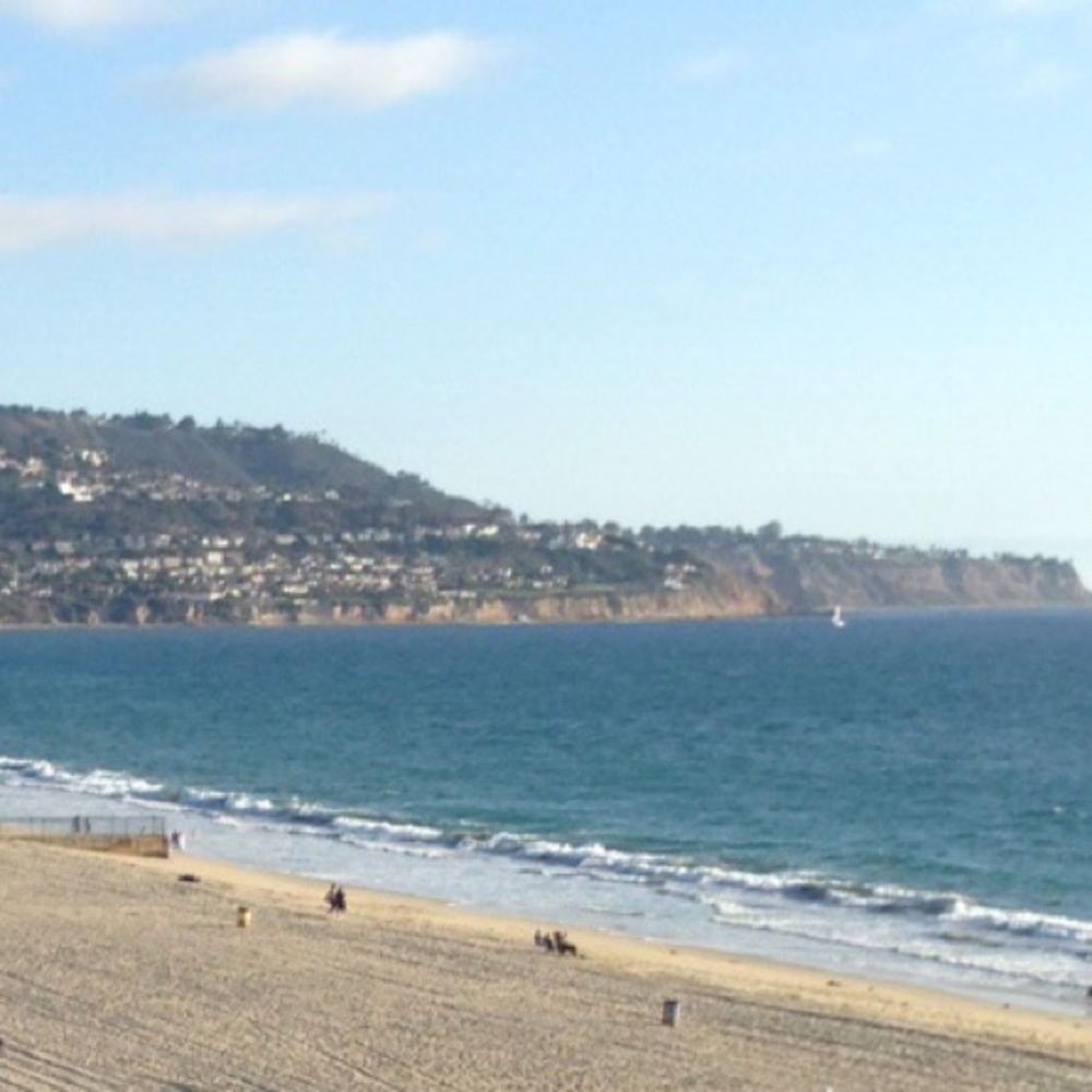 Meet your Posher, Annie