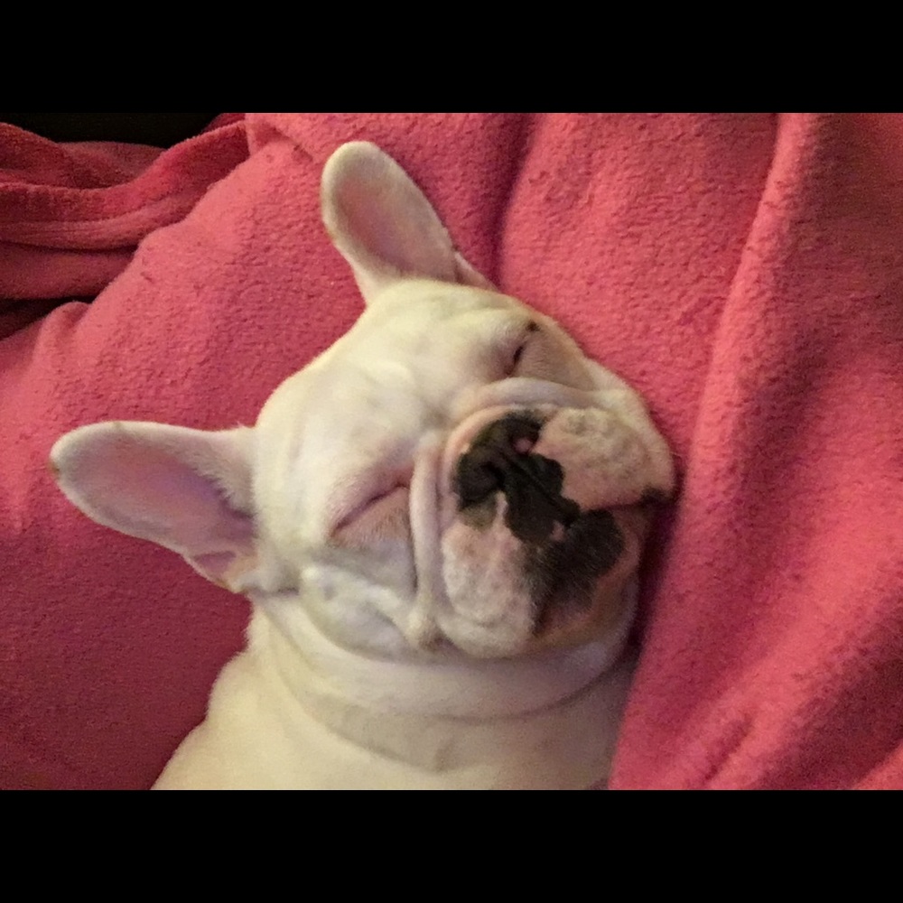 Meet your Posher, Marsha