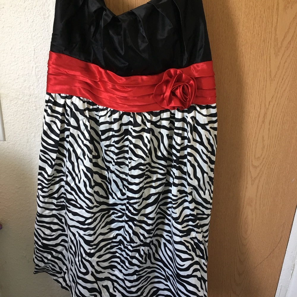 Multicolored zebra dress