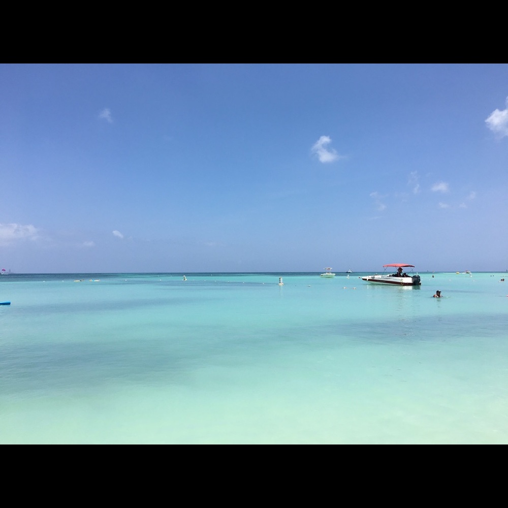 Meet your Posher, Marci