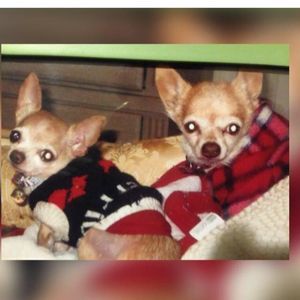 Meet your Posher, Gloria