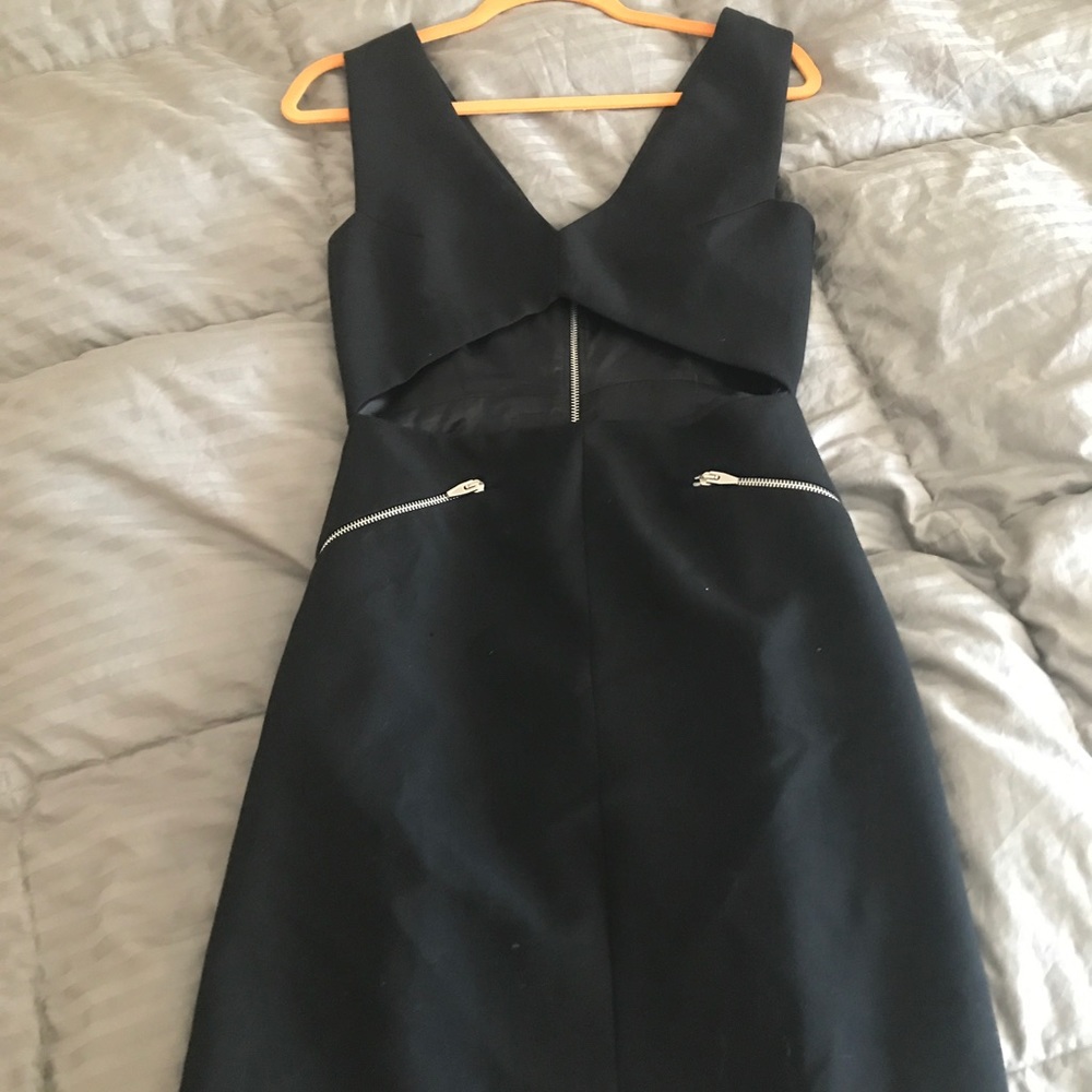 Absolutely beautiful Zara dress