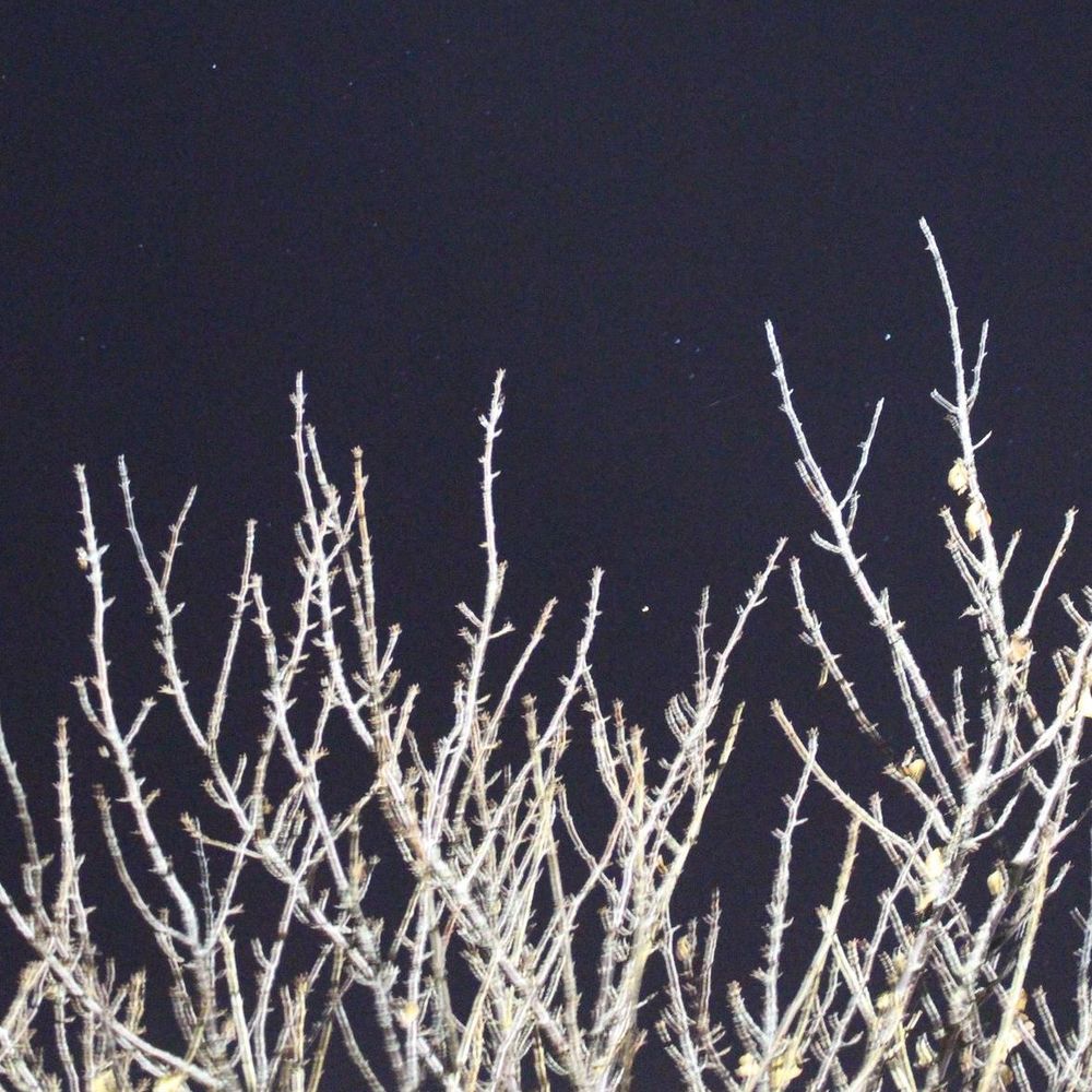 Meet your Posher, Milena